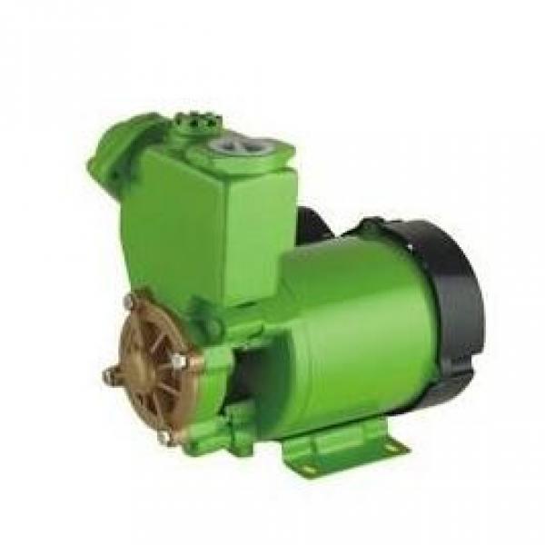 VR15-A3-R Daikin Hydraulic Piston Pump VR series imported with original packaging #3 image